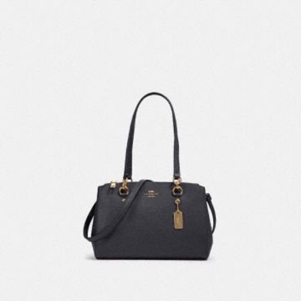 Coach Etta Carryall